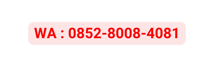 WA 0852 8008 4081